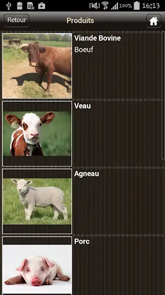 Play Boucherie Pinel as an online game Boucherie Pinel with UptoPlay