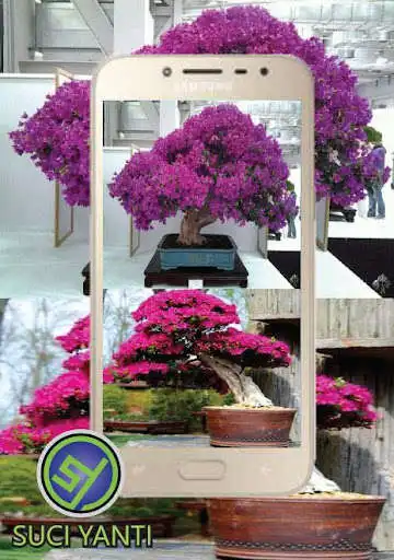Play Bougenville Flower Bonsai Design  and enjoy Bougenville Flower Bonsai Design with UptoPlay