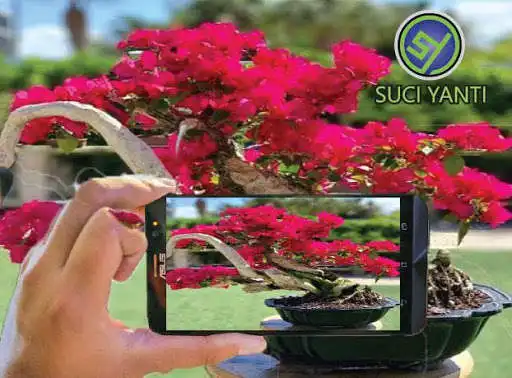 Play Bougenville Flower Bonsai Design as an online game Bougenville Flower Bonsai Design with UptoPlay