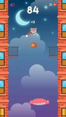 Play Bouncy Cat Rush