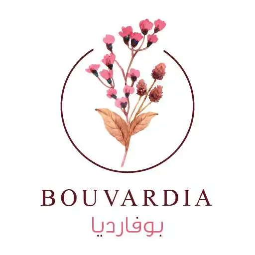 Play Bouvardia Flowers APK