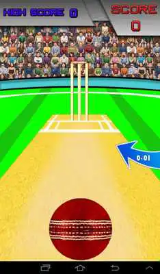 Play Bowled Play Bowled