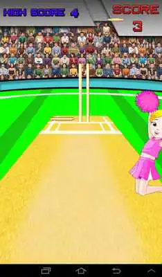 Play Bowled Play Bowled