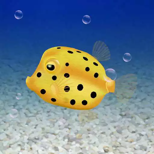 Play Boxfish simulation game APK Play Boxfish simulation game APK