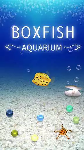 Play Boxfish simulation game  and enjoy Boxfish simulation game with UptoPlay