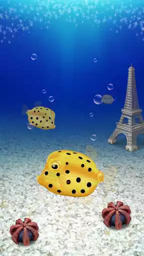 Play Boxfish simulation game as an online game Boxfish simulation game with UptoPlay