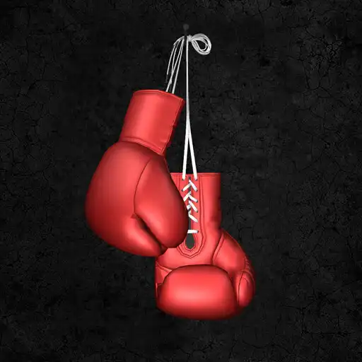Play Boxing Gloves 3d Wallpaper APK