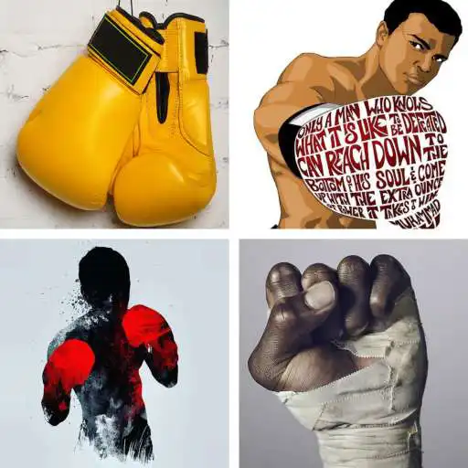 Play Boxing HD Wallpapers APK Play Boxing HD Wallpapers APK