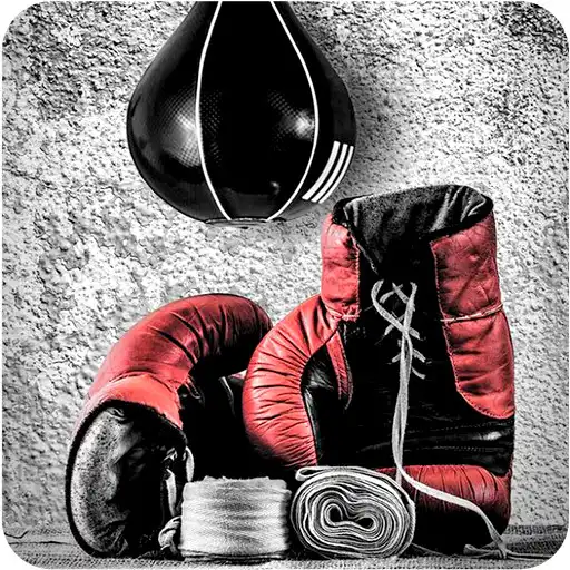 Play Boxing Wallpapers APK