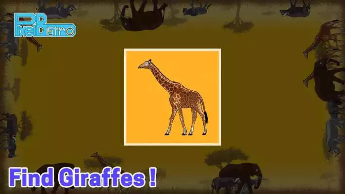 Play BoxZoo Kenya : Shadow Match