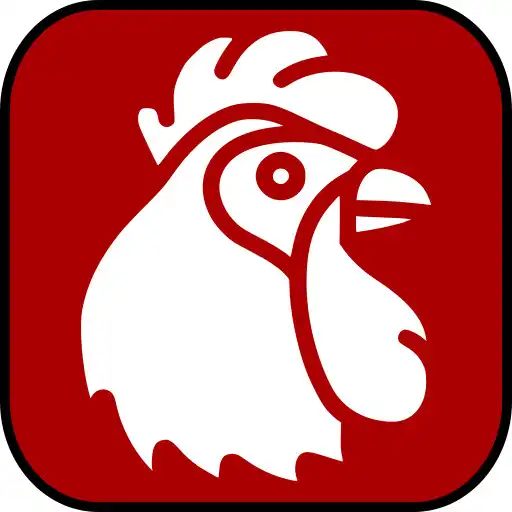 Play Boy Talpakan APK