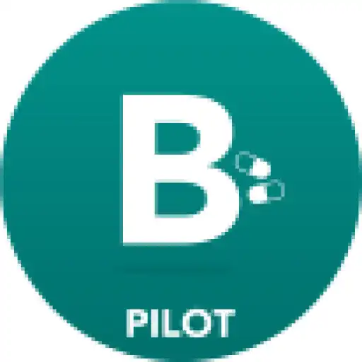 Play Bpilot APK