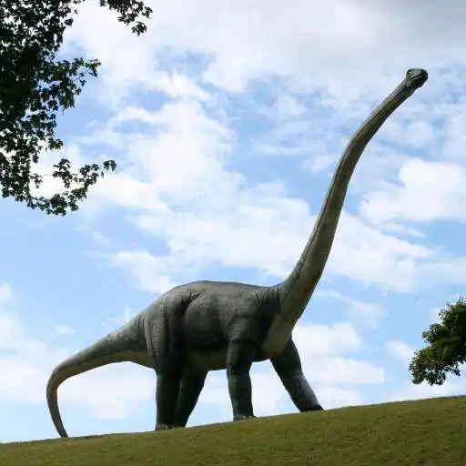 Play Brachiosaurus Wallpaper APK