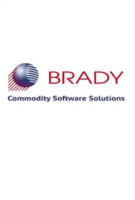 Play Brady ScrapRunner
