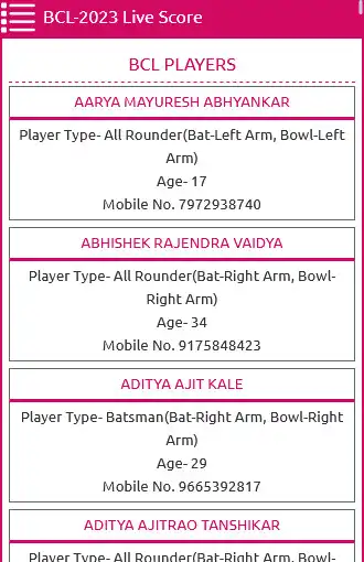 Play Brahmin Cricket League as an online game Brahmin Cricket League with UptoPlay