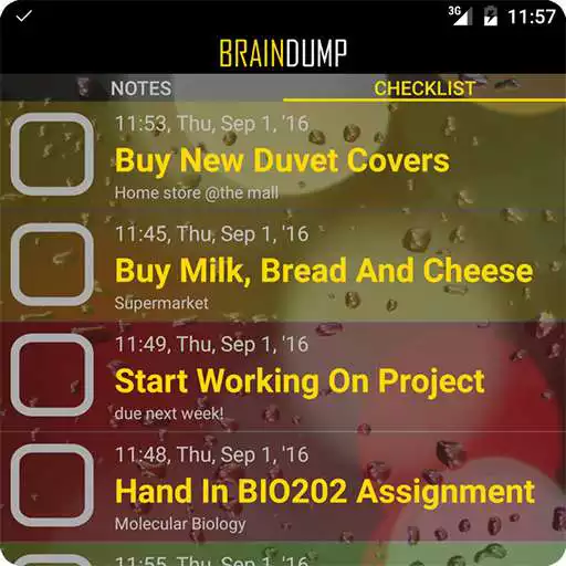 Free play online BrainDump To Do Lists Notes! APK Free play online BrainDump To Do Lists Notes! APK
