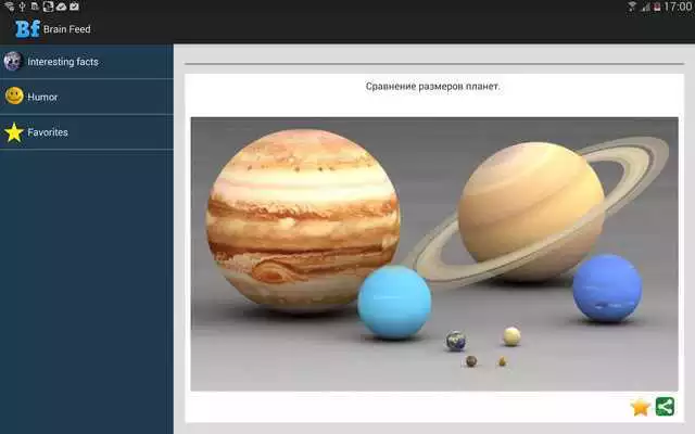 Play Brain Feed