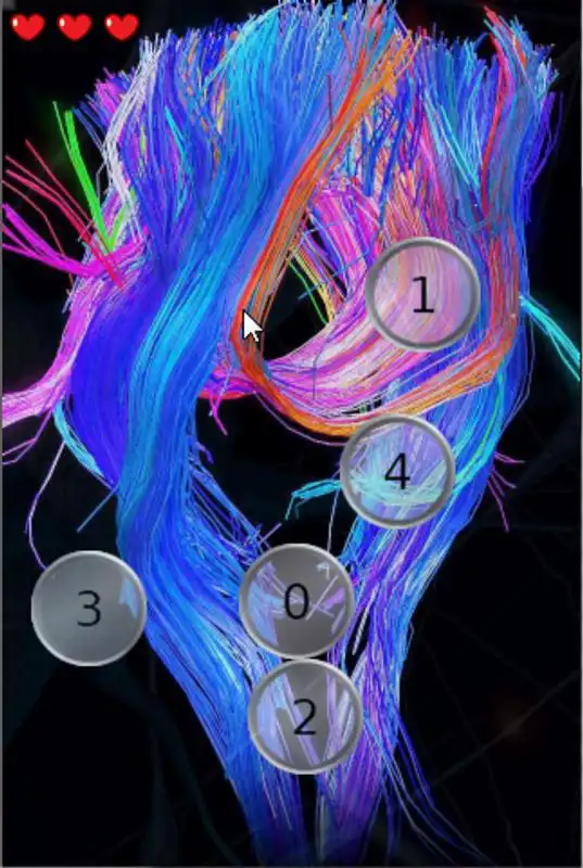 Play Brain Game Cognitive Skills