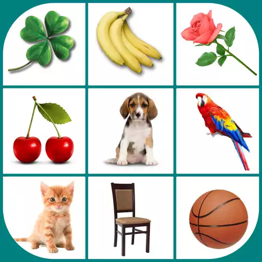 Play Brain Game - Picture Match APK Play Brain Game - Picture Match APK