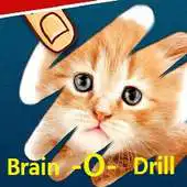 Free play online Brain O Drill APK