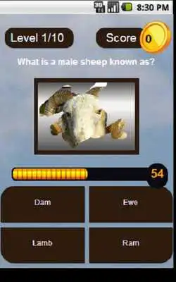 Play Brain O Drill Play Brain O Drill