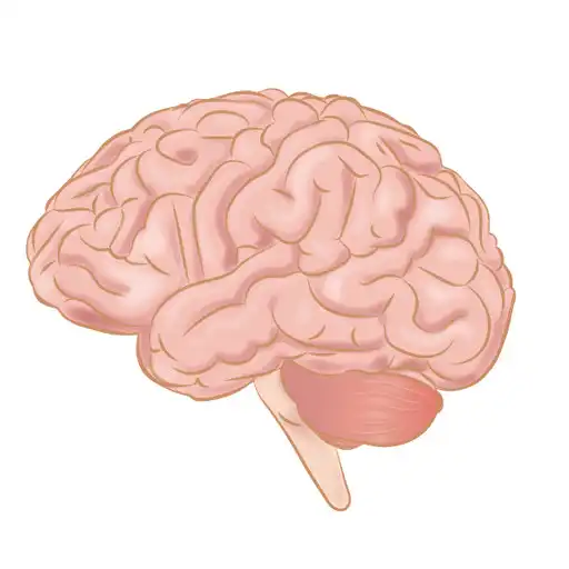 Play Brain Speed Trainer APK