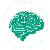 Free play online Brain Split APK
