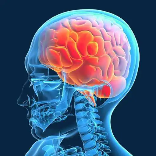 Play Brain Test: Memory Games APK