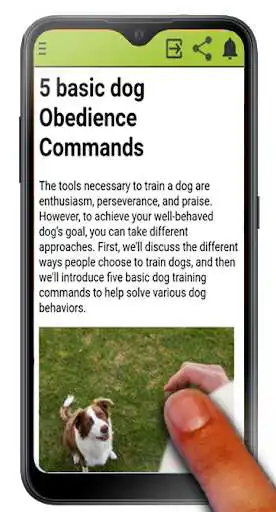 Play Brain Training for your Dog  and enjoy Brain Training for your Dog with UptoPlay