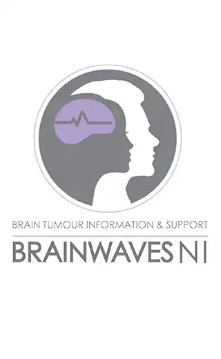 Play Brainwaves NI  and enjoy Brainwaves NI with UptoPlay