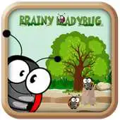 Free play online Brainy LadyBug APK
