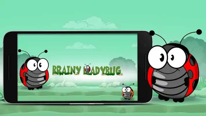 Play Brainy LadyBug