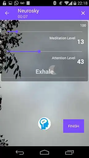 Play BrainZen - Train your Brain with NeuroSky as an online game BrainZen - Train your Brain with NeuroSky with UptoPlay