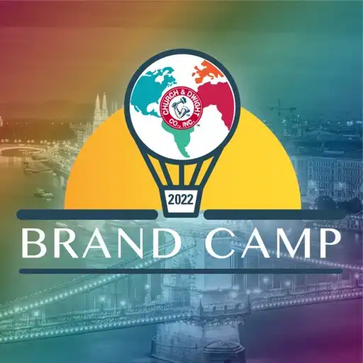 Play Brand Camp 2022 APK