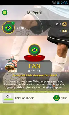 Play Brasil - Gol de Oro 2014