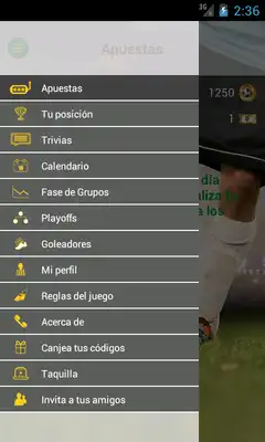 Play Brasil - Gol de Oro 2014