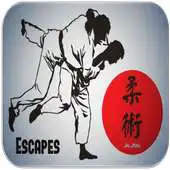 Free play online Brazilian Jiu jitsu (Escapes) APK Free play online Brazilian Jiu jitsu (Escapes) APK