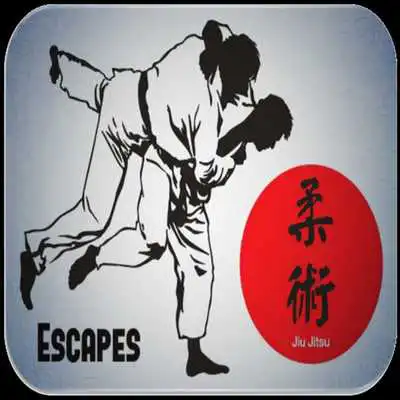 Play Brazilian Jiu jitsu (Escapes)