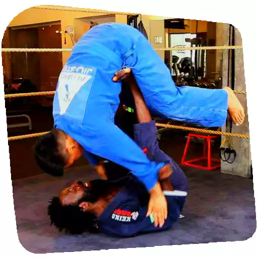 Free play online Brazilian jiu jitsu APK