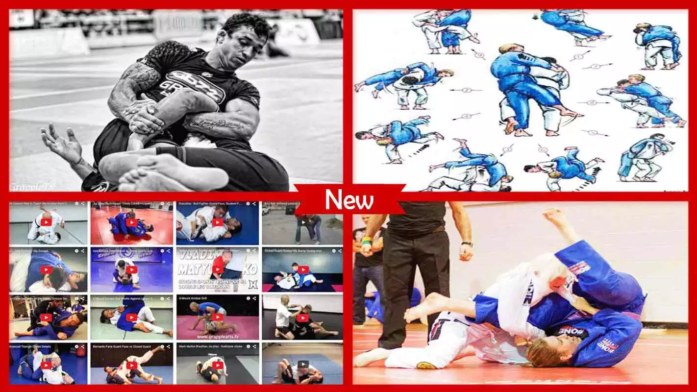 Play Brazilian Jiu Jitsu Pro Techniques
