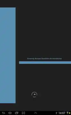 Play Brazilian Journal of Geology