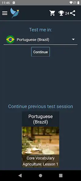 Play Brazilian Portuguese Tests  and enjoy Brazilian Portuguese Tests with UptoPlay