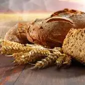 Free play online Bread Recipes AllRecipes APK Free play online Bread Recipes AllRecipes APK