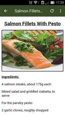 Play Breastfeeding Moms Food Recipes