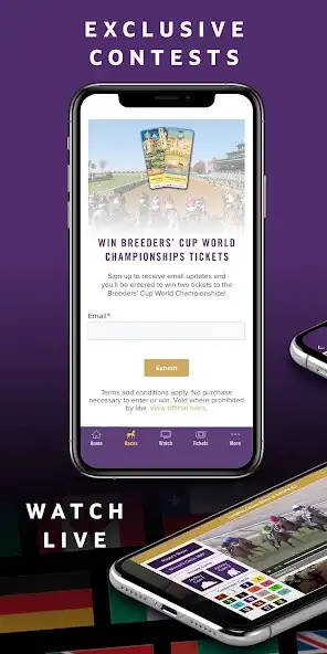 Play Breeders Cup as an online game Breeders Cup with UptoPlay