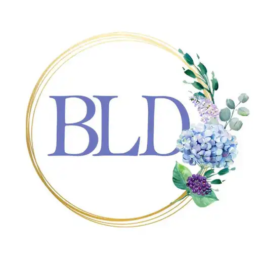 Play Brian Lane Designs APK