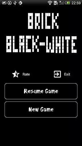 Play Brick Classic - Black  White