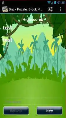 Play Brick Puzzle: Block Mania Saga