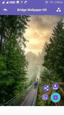 Play Bridge 4K Wallpaper