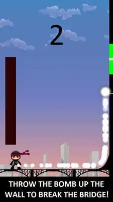 Play Bridge Breaker